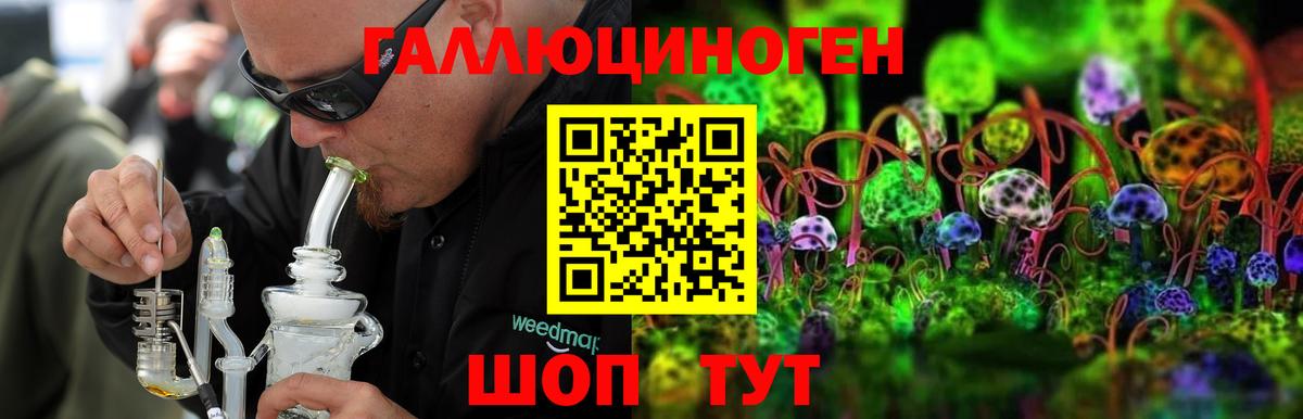 Балашов  Псилоцибиновые грибы GOLDEN TEACHER  Вход с VPN 