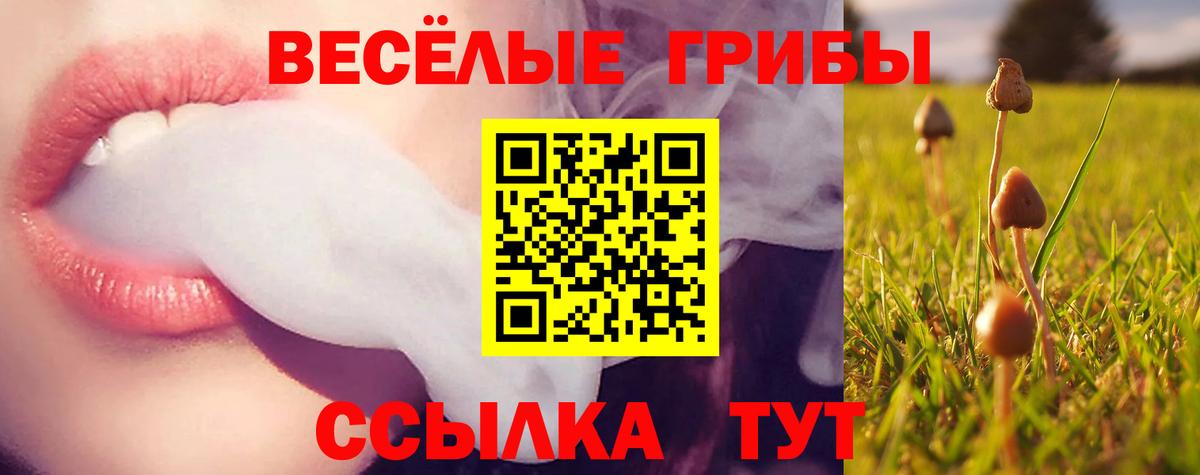Галлюциногенные грибы Magic Shrooms Балашов