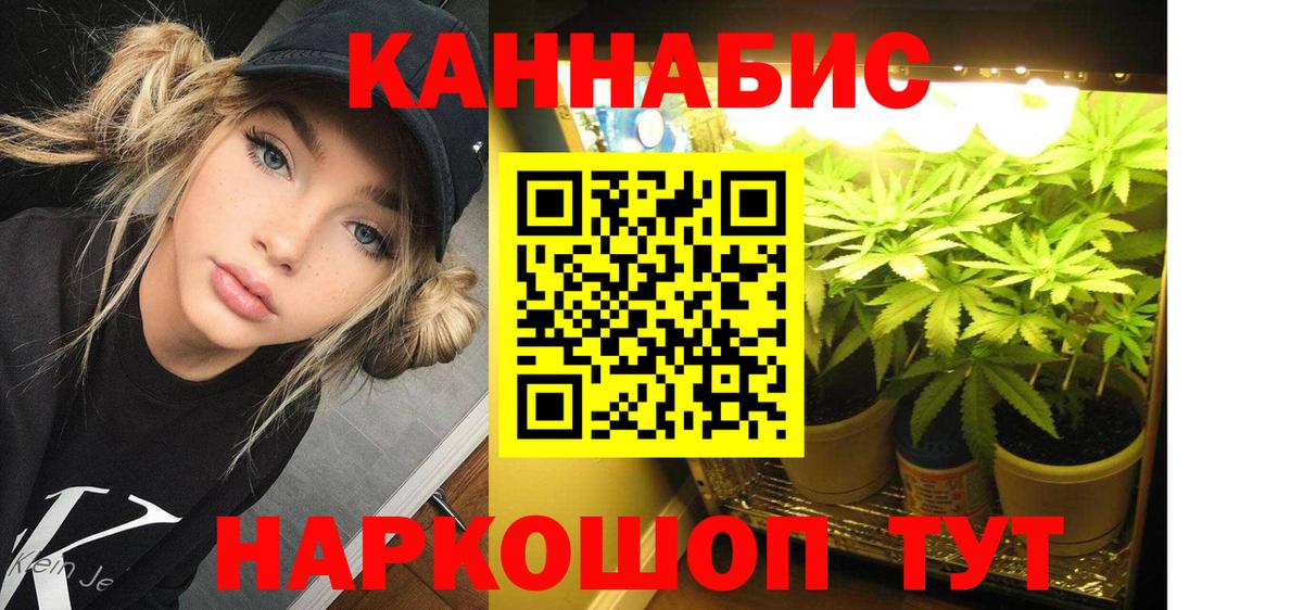 Бошки марихуана VHQ Балашов